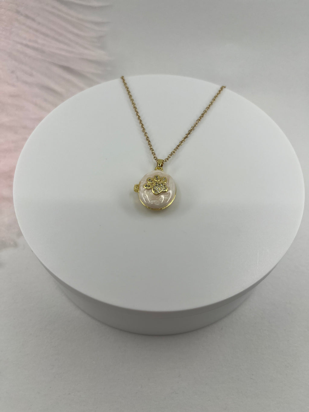Pet locket choker necklace, 18k gold plated