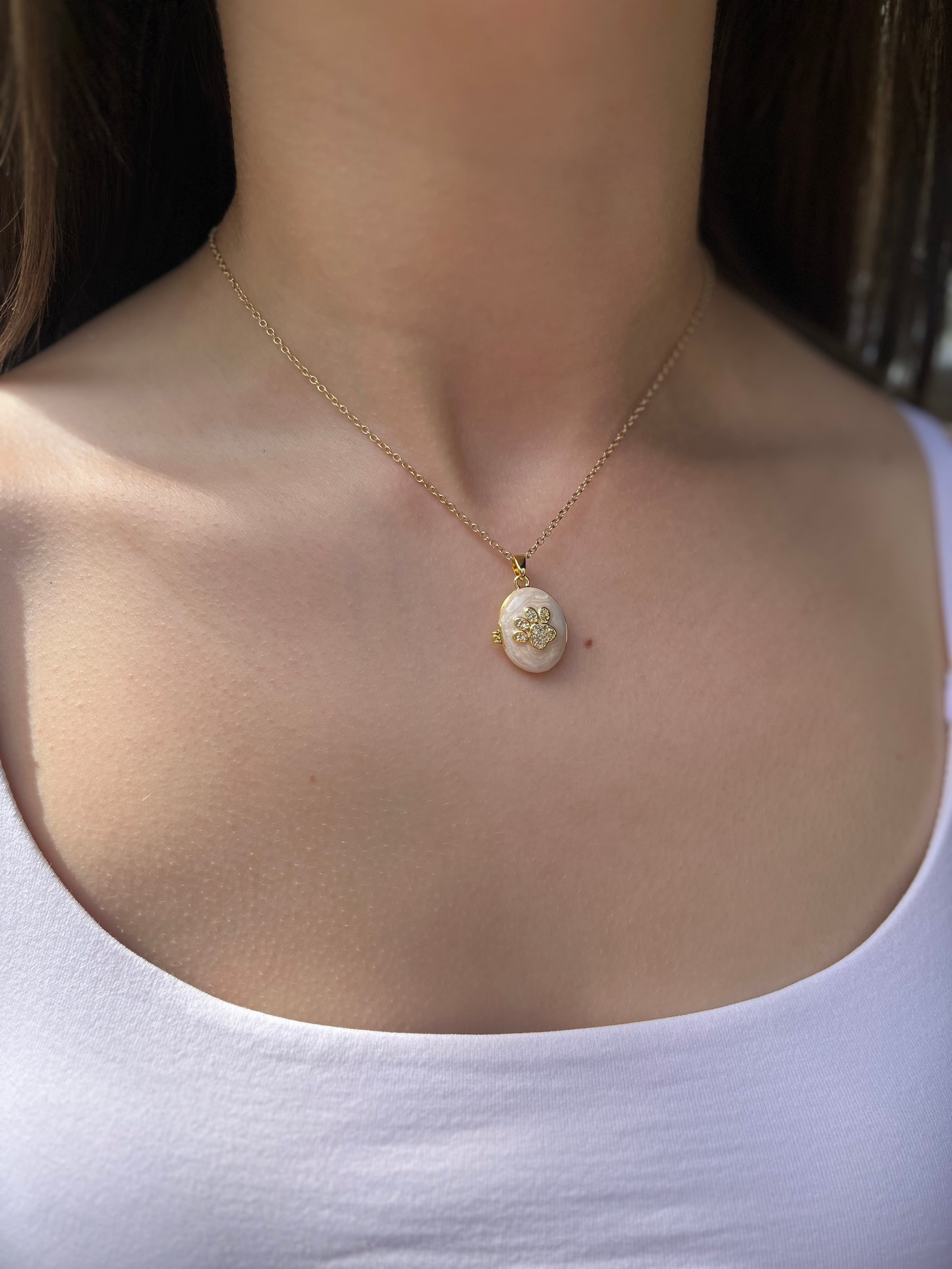 Pet locket choker necklace, 18k gold plated