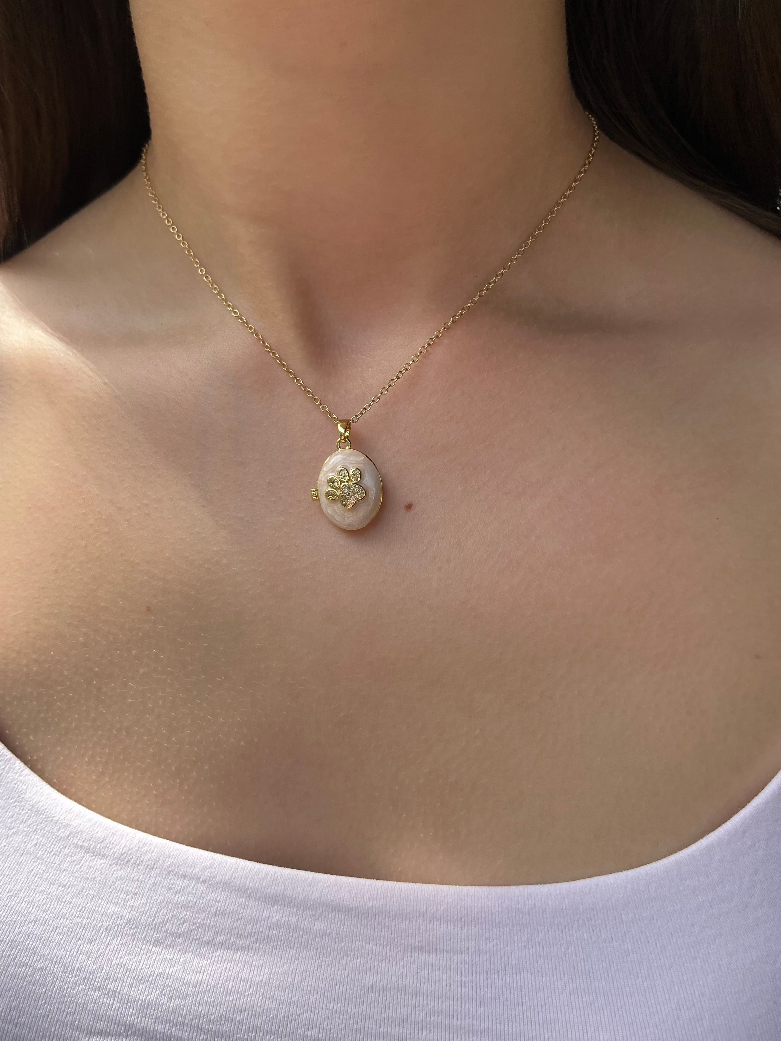 Pet locket choker necklace, 18k gold plated