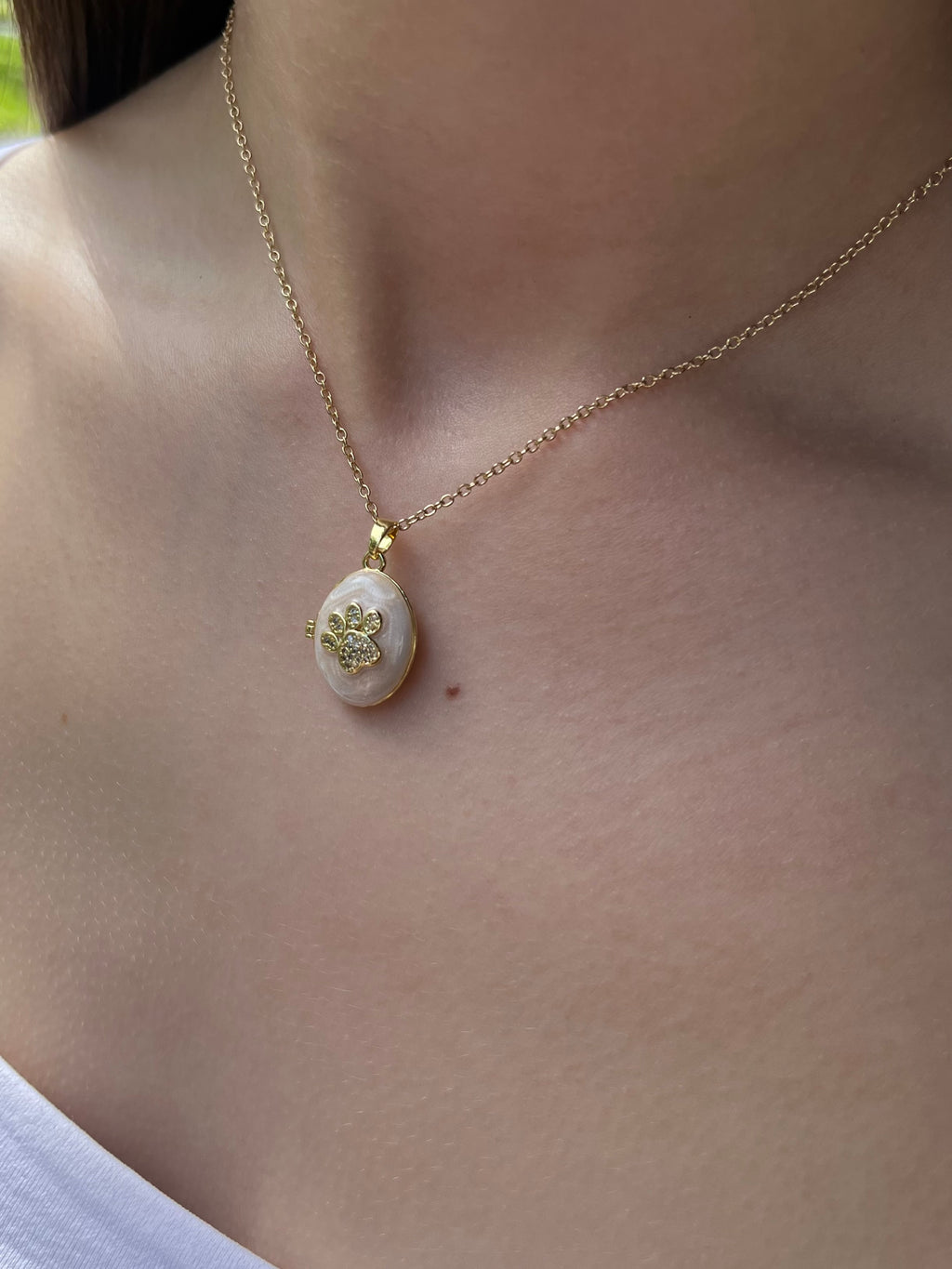Pet locket choker necklace, 18k gold plated