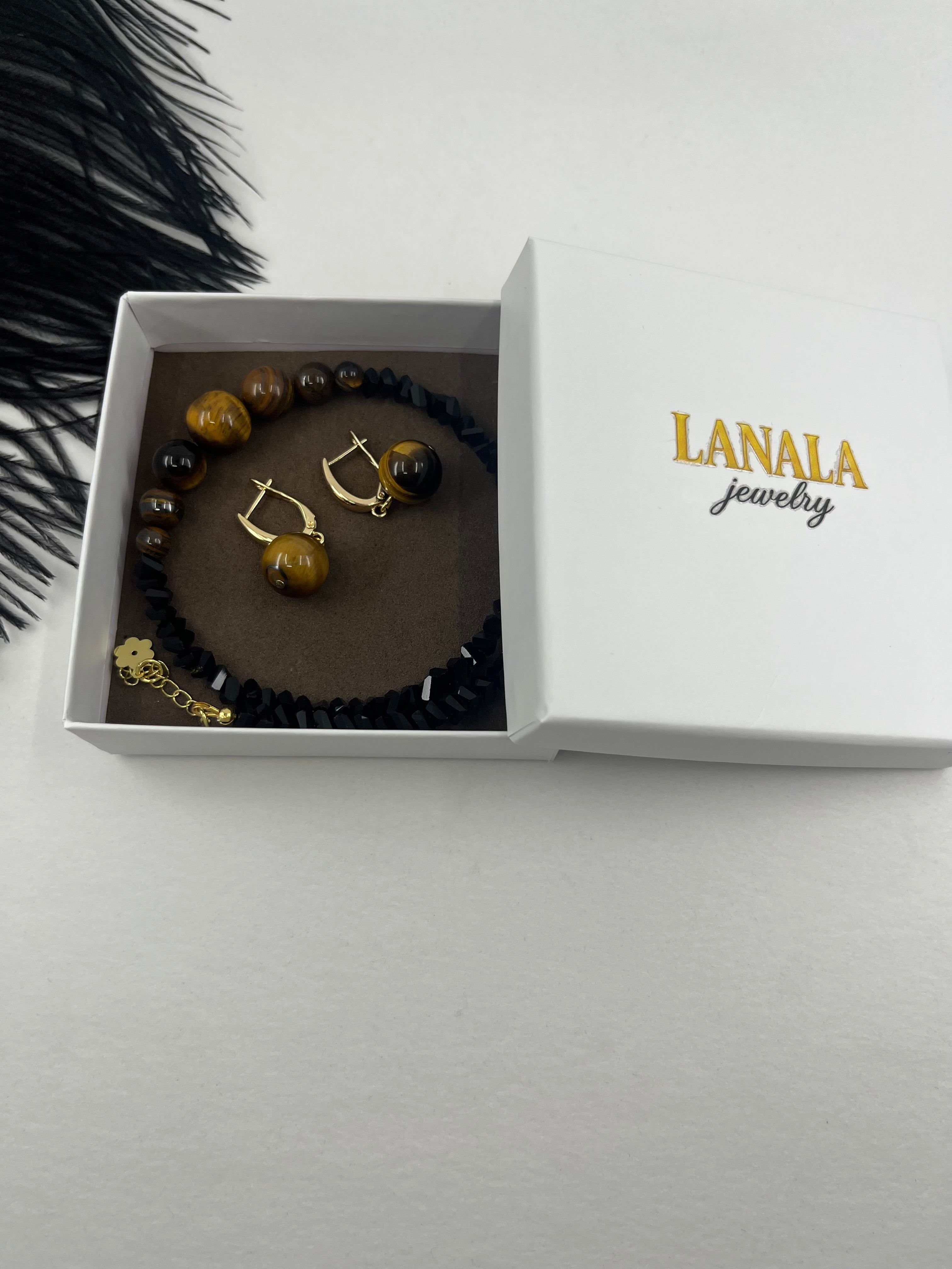 Set: Black Crystal Choker Necklace with Tiger Eye and earrings