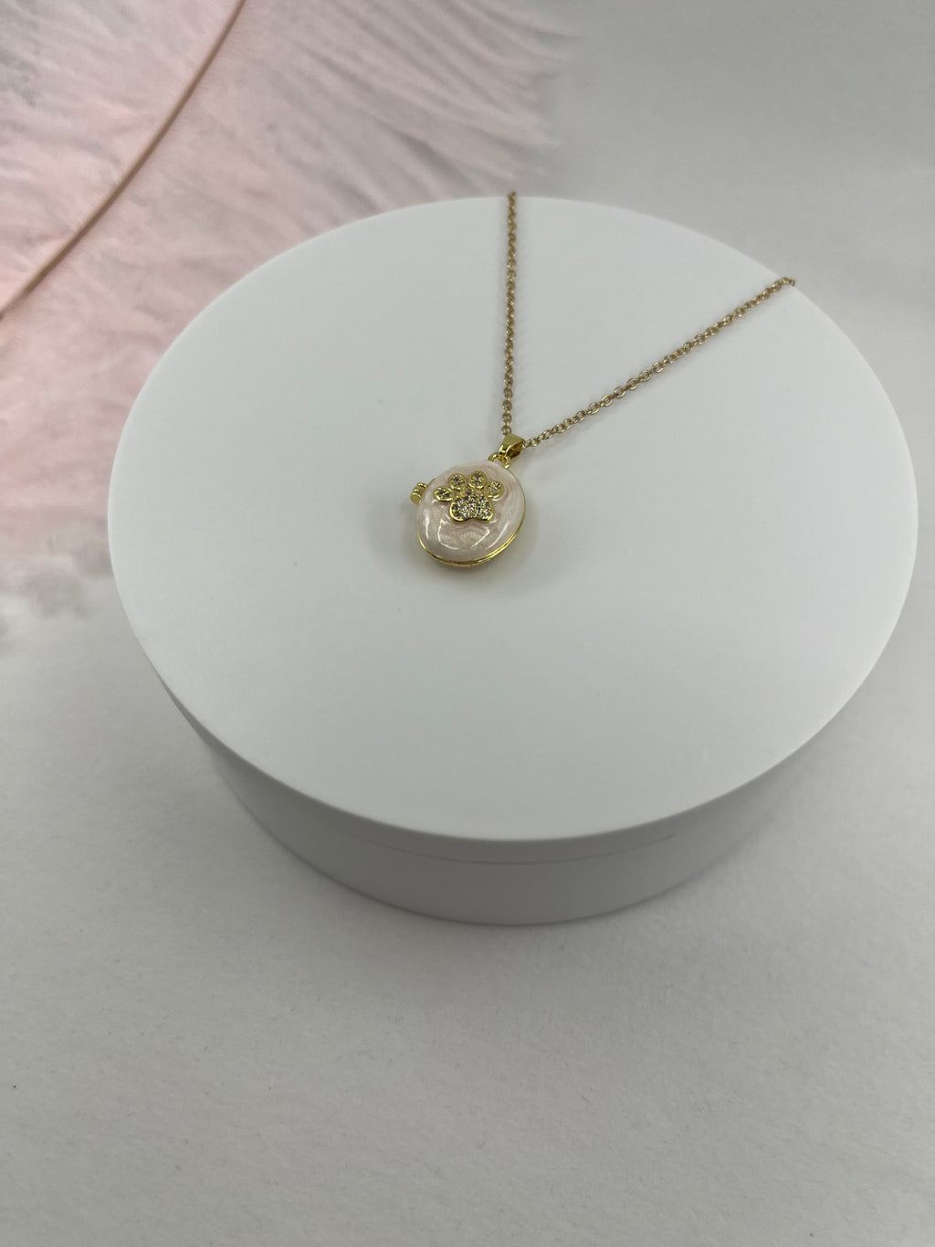 Pet locket choker necklace, 18k gold plated