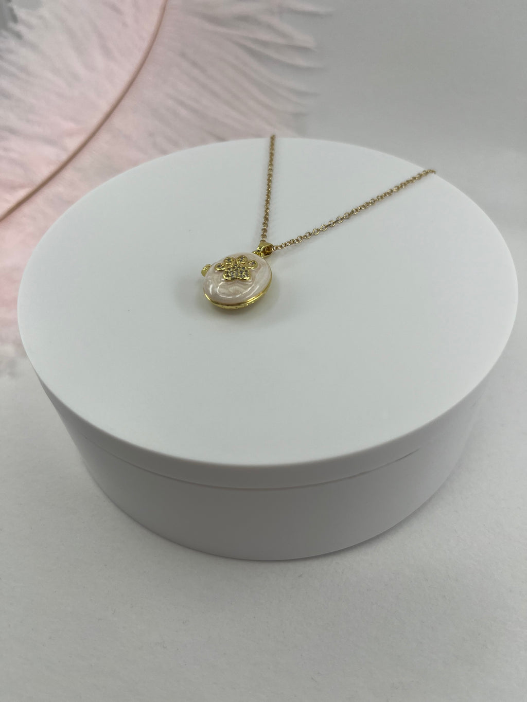 Pet locket choker necklace, 18k gold plated