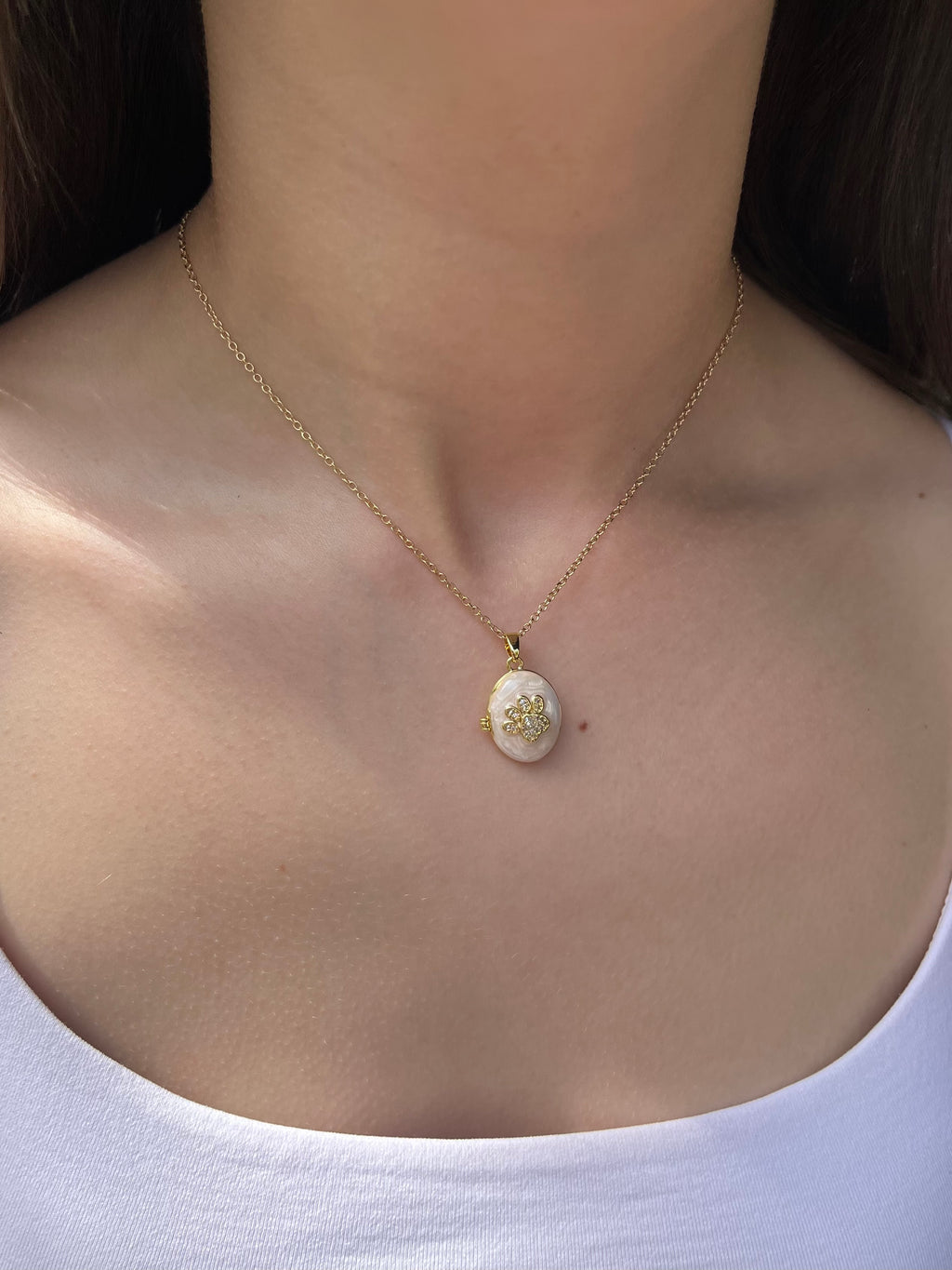 Pet locket choker necklace, 18k gold plated