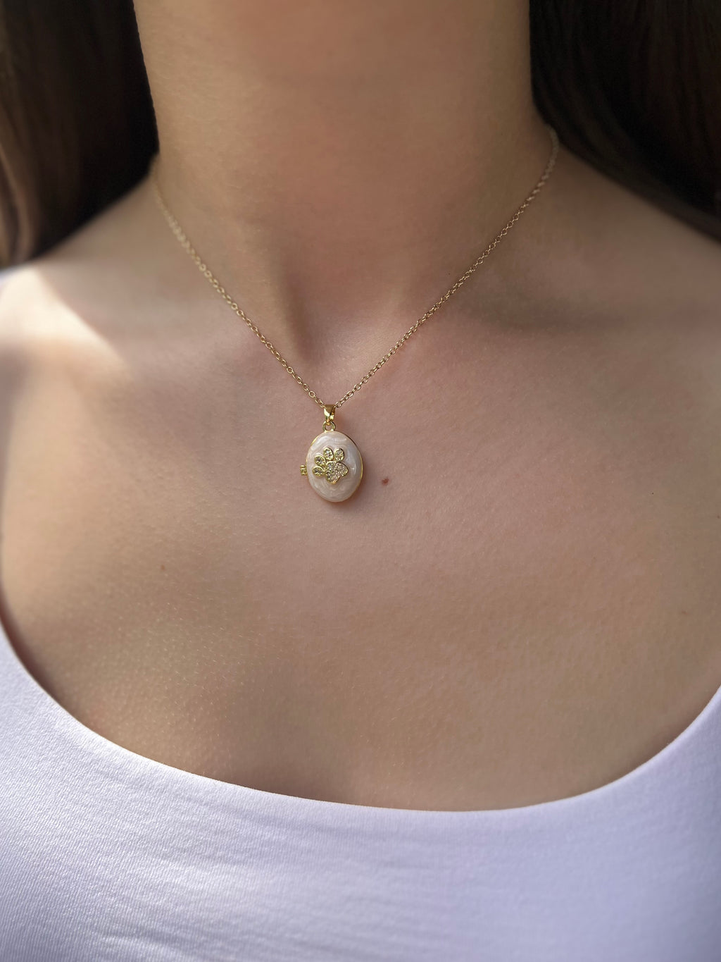 Pet locket choker necklace, 18k gold plated