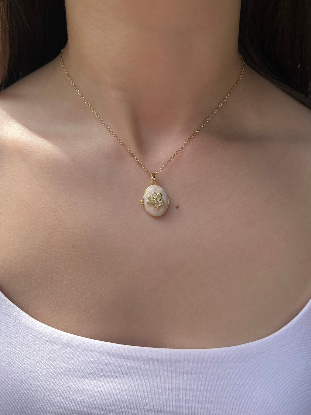 Pet locket choker necklace, 18k gold plated