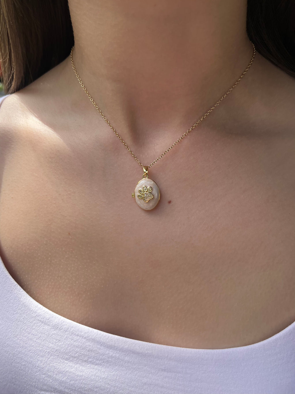 Pet locket choker necklace, 18k gold plated