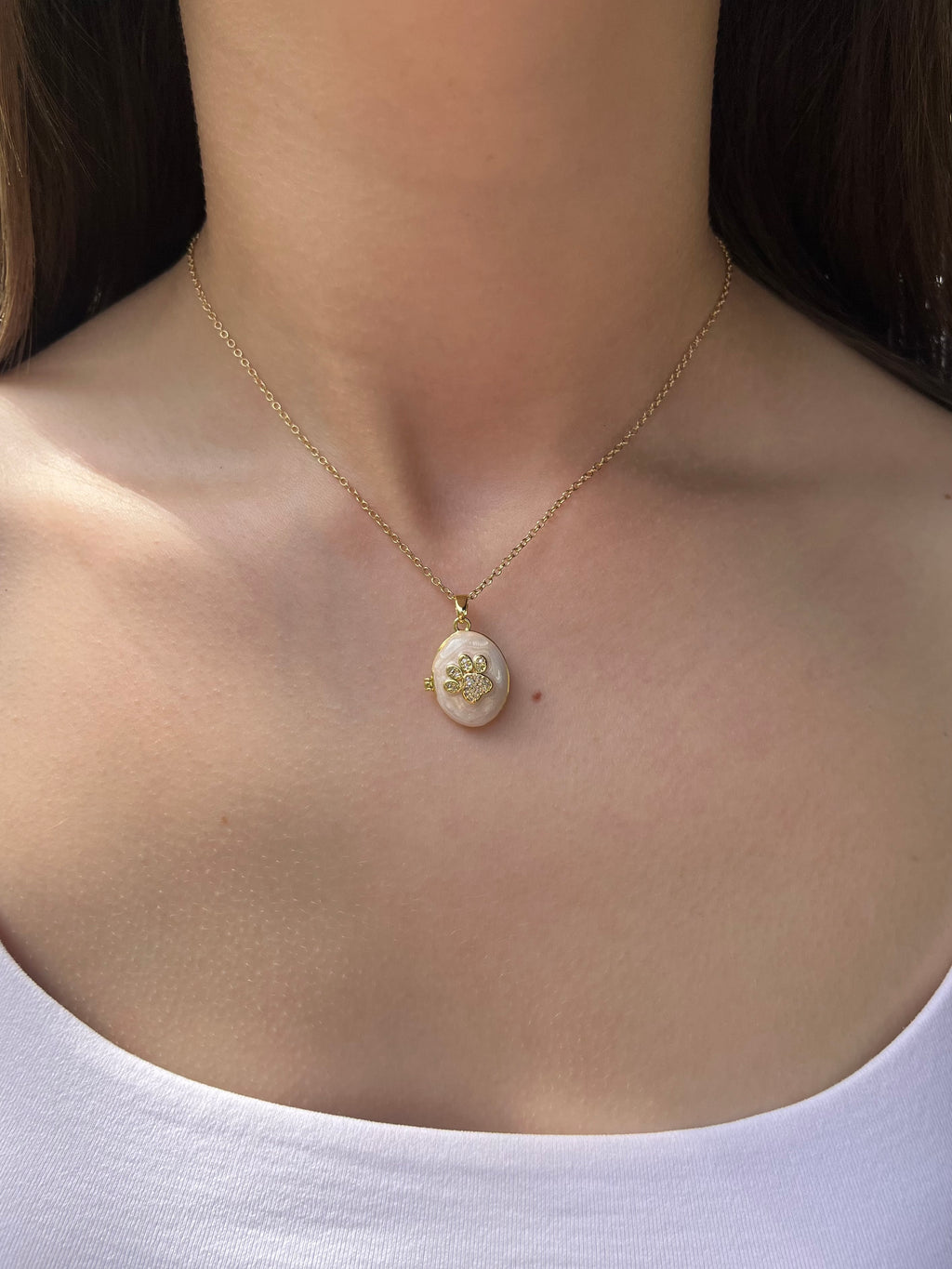 Pet locket choker necklace, 18k gold plated
