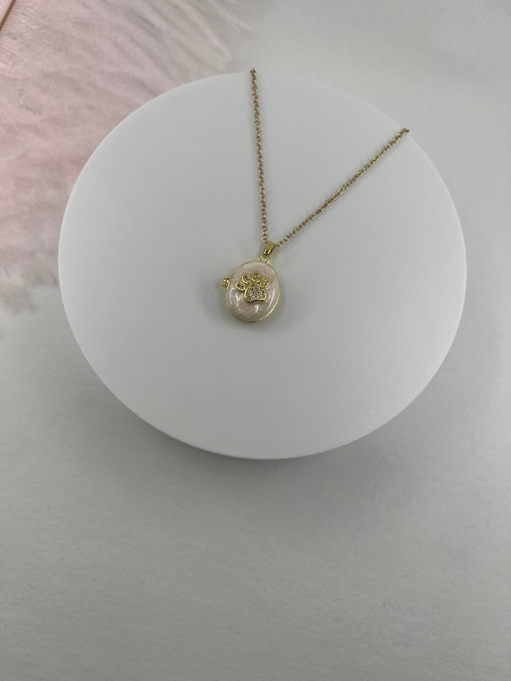 Pet locket choker necklace, 18k gold plated
