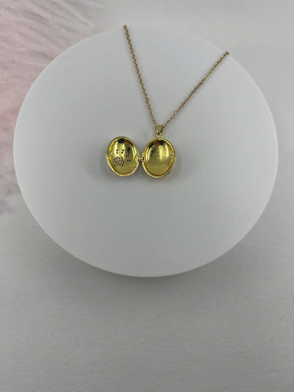 Pet locket choker necklace, 18k gold plated
