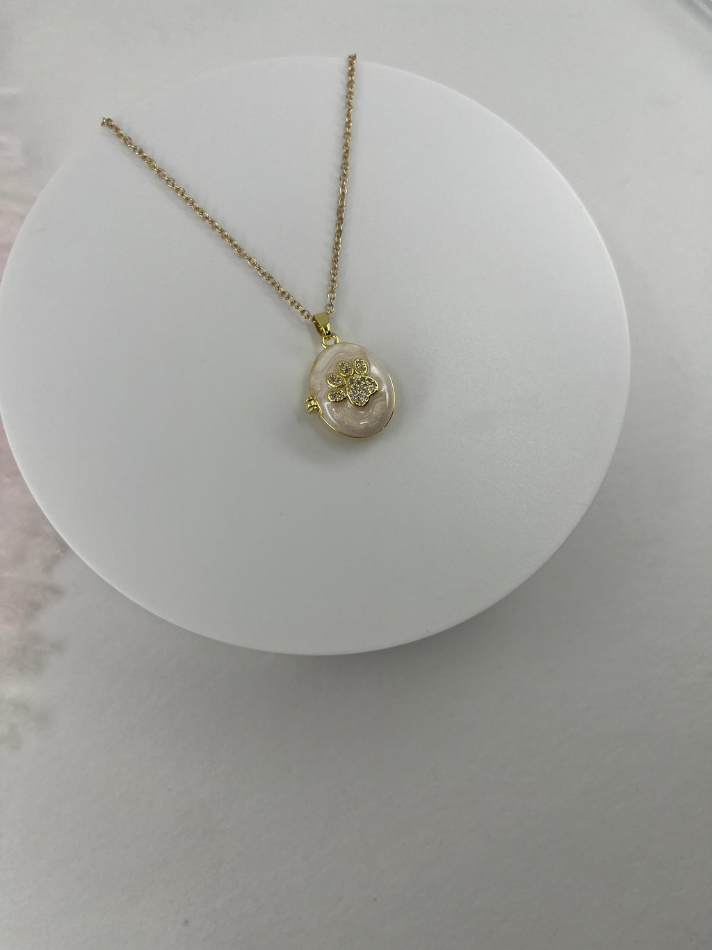 Pet locket choker necklace, 18k gold plated