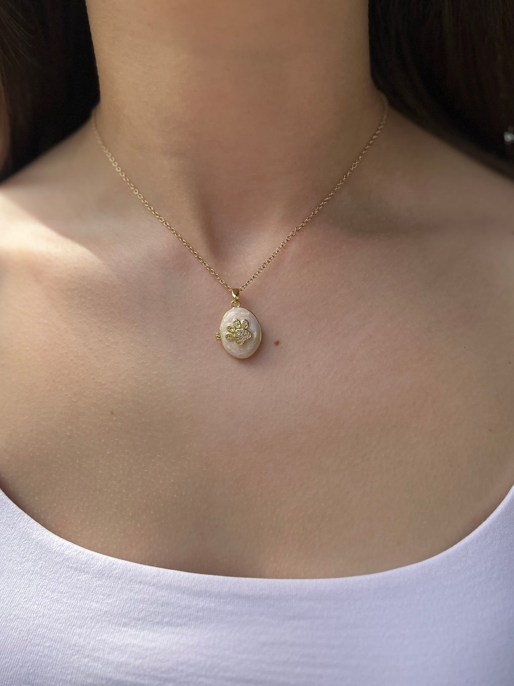 Pet locket choker necklace, 18k gold plated