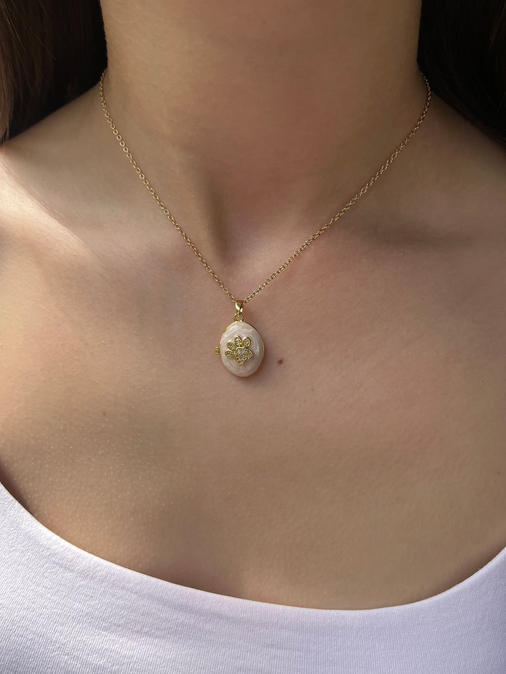 Pet locket choker necklace, 18k gold plated